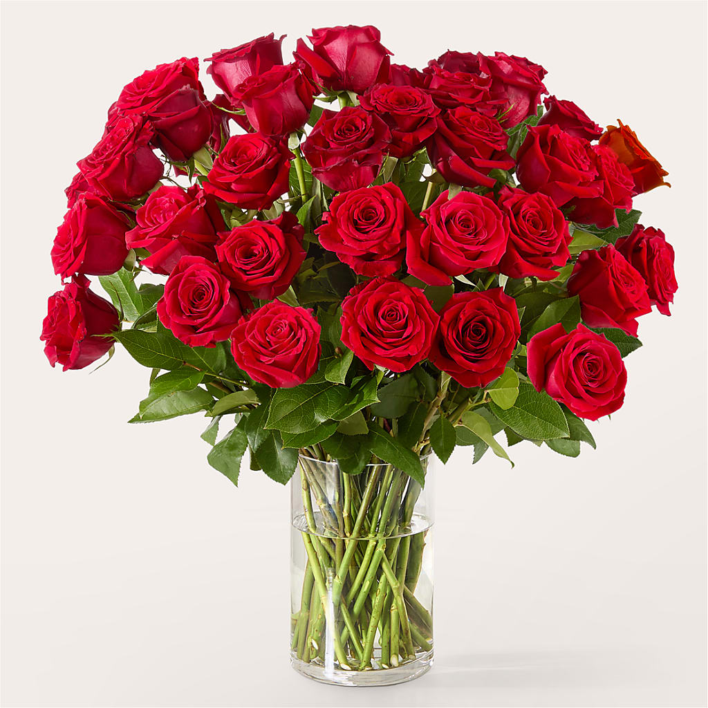 The One Red Rose Bouquet – DW FLORALS & GIFTS OF SANTA FE, Santa Fe TX