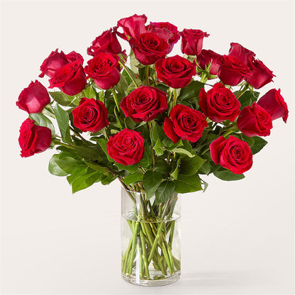 The One Red Rose Bouquet – DW FLORALS & GIFTS OF SANTA FE, Santa Fe TX