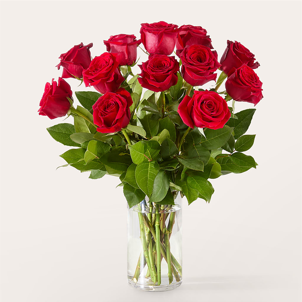 The One Red Rose Bouquet – DW FLORALS & GIFTS OF SANTA FE, Santa Fe TX