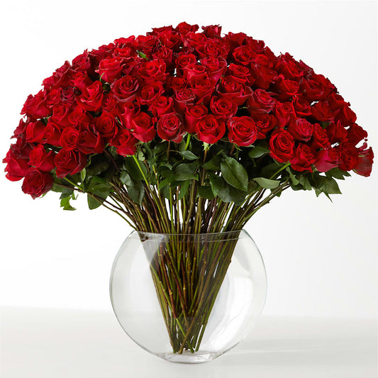 The Idealist – DW FLORALS & GIFTS OF SANTA FE, Santa Fe TX
