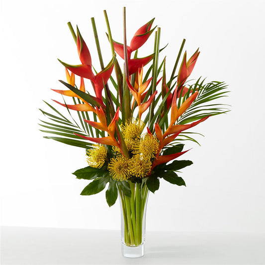 The Drama – DW FLORALS & GIFTS OF SANTA FE, Santa Fe TX