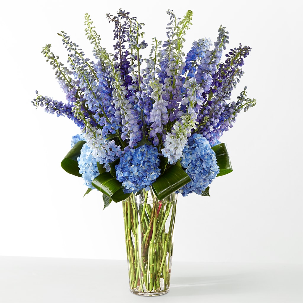 The Editorial – DW FLORALS & GIFTS OF SANTA FE, Santa Fe TX