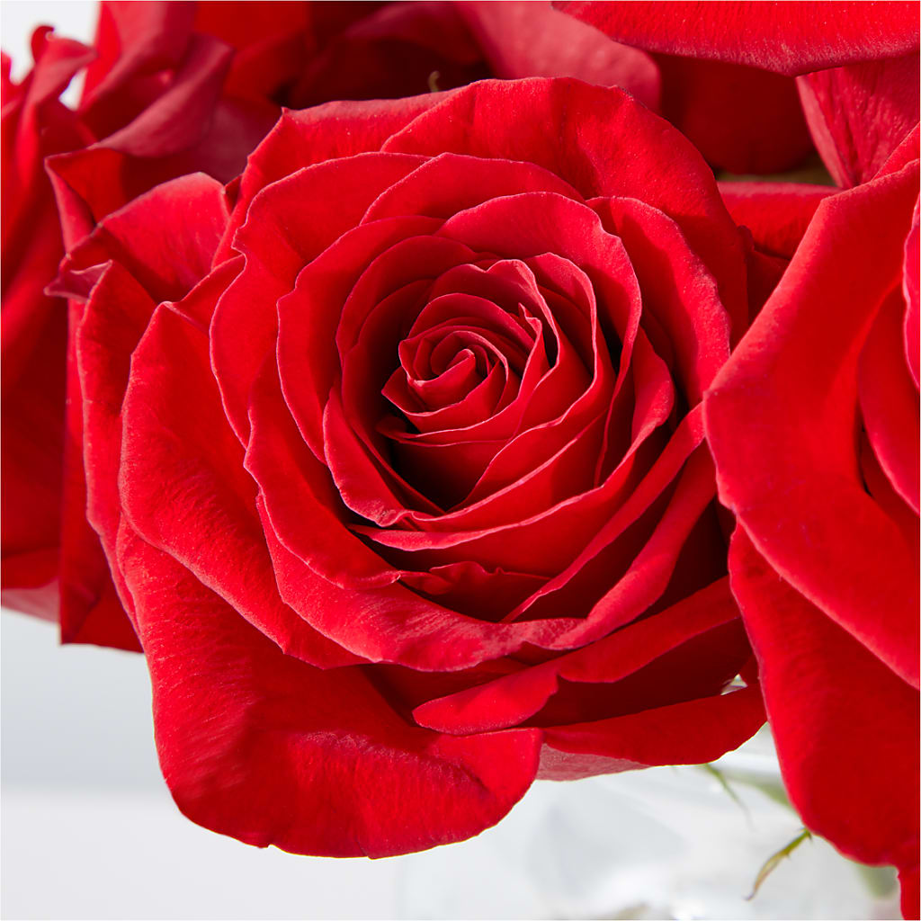 Cupid's Embrace Red Rose Bouquet – DW FLORALS & GIFTS OF SANTA FE, Santa Fe TX
