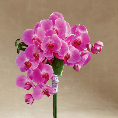 Glorious Bouquet – DW FLORALS & GIFTS OF SANTA FE, Santa Fe TX