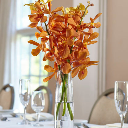 Orange Mokara Bud Vase – DW FLORALS & GIFTS OF SANTA FE, Santa Fe TX