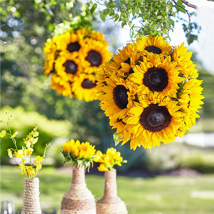 Sublime Garden Hanging Arrangement – DW FLORALS & GIFTS OF SANTA FE, Santa Fe TX