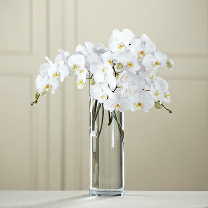 White Phalaenopsis Bouquet – DW FLORALS & GIFTS OF SANTA FE, Santa Fe TX