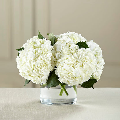 White Hydrangea Bouquet – DW FLORALS & GIFTS OF SANTA FE, Santa Fe TX